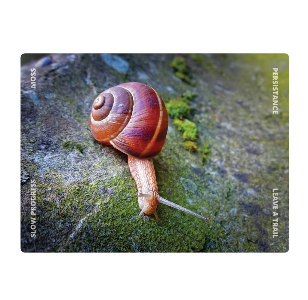 This is a test of how much I can write over an image This is a test of how much I can write over an imageThis is a test of how much I can write over an image This is a test of how much I can write over an image